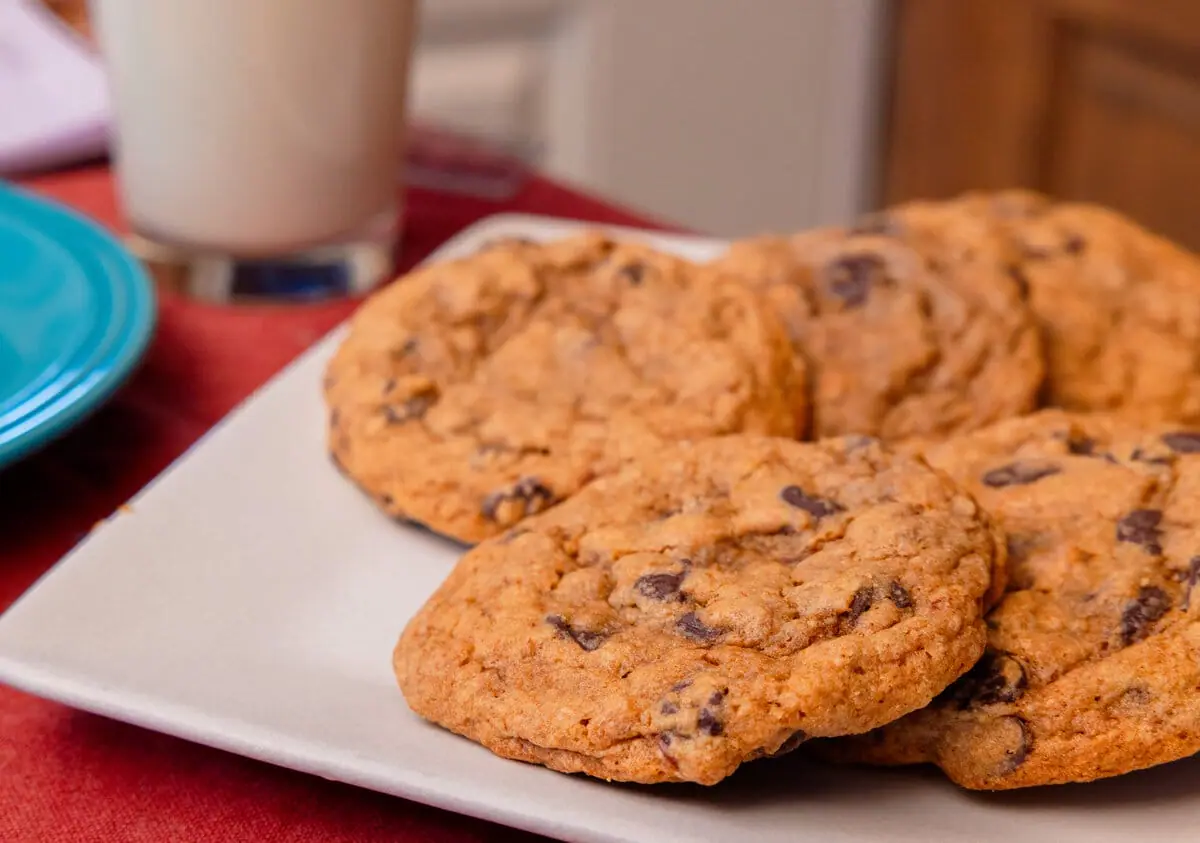 Chocolate Chip